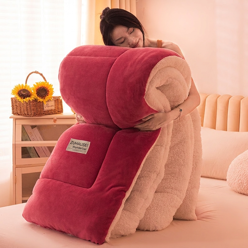 ⏳Begrenzte Zeit 50% Rabatt💥Dicker warmer Winter-Steppdecke aus Schneeflocken-Samt