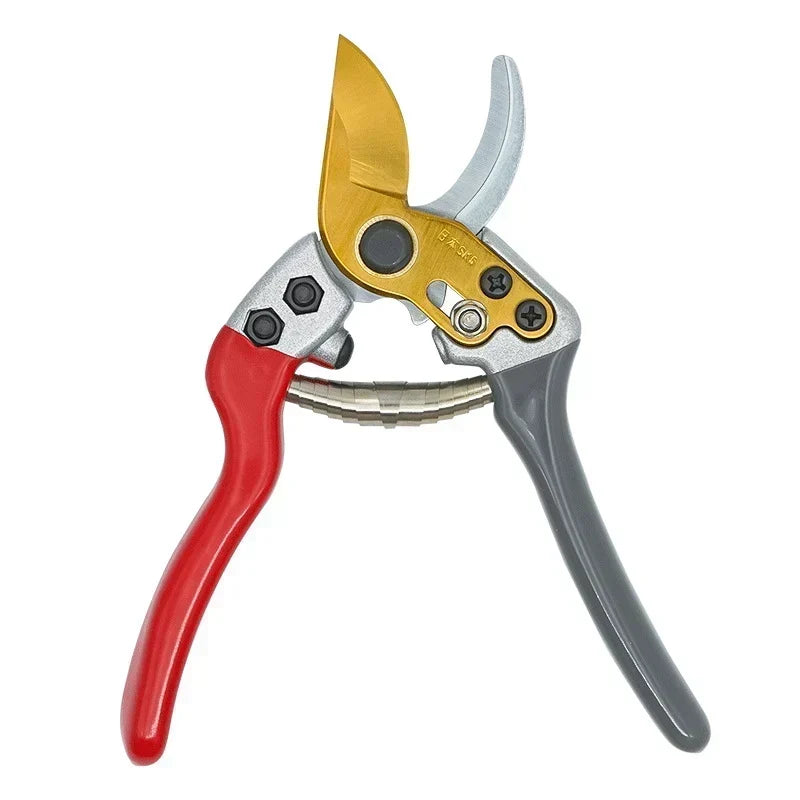 🌱  50 % Rabatt ! Robuste SK5-Gartenschere – Scharfer Schnitt, mühelose Gartenpflege! 🌿 Ultrascharfe Klinge, rutschfester Griff, stark für Äste & Sträucher ✂️