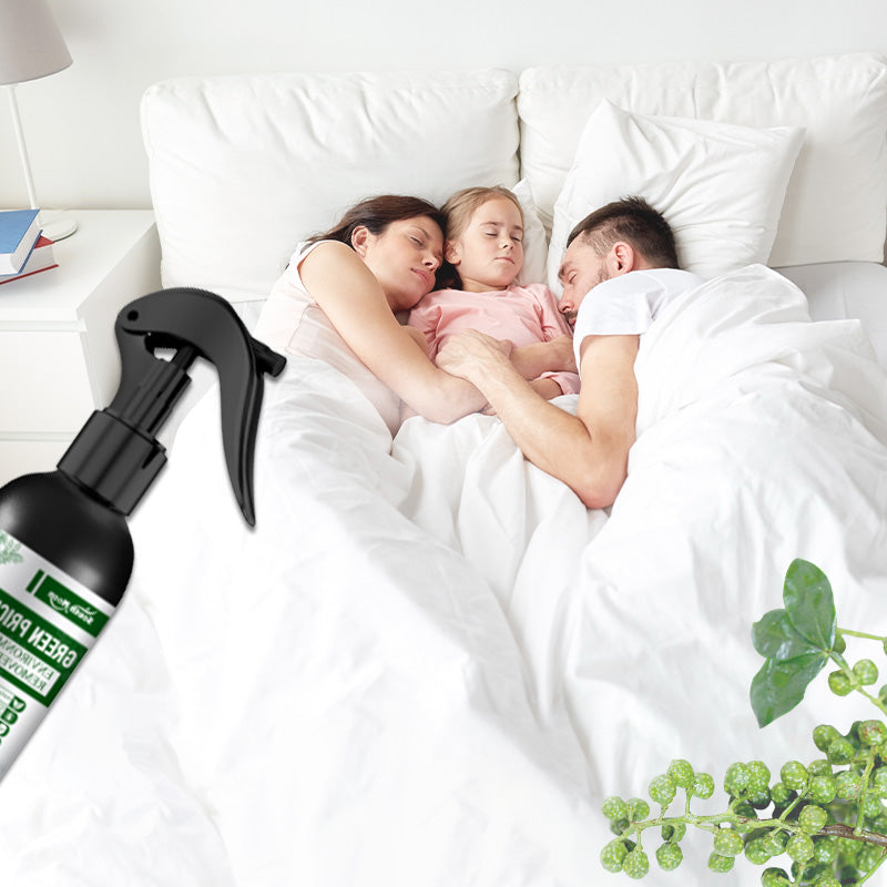 🔥 KAUF 2 ERHALT 3! 🐛 POWER-INSEKTENSPRAY - Sofortige Wirkung gegen Fliegen/Mücken, Geruchsneutral & Hautfreundlich, Ideal für Haus und Garten 🌿🧴