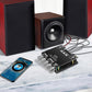 🔊 50% RABATT! 🎵 Bluetooth-2.1-Kanal-Audio-Verstärkermodul – Drahtlos, kraftvoller Klang & kompakt – Ideal für Musikliebhaber & DIY-Lautsprecherprojekte ⚡