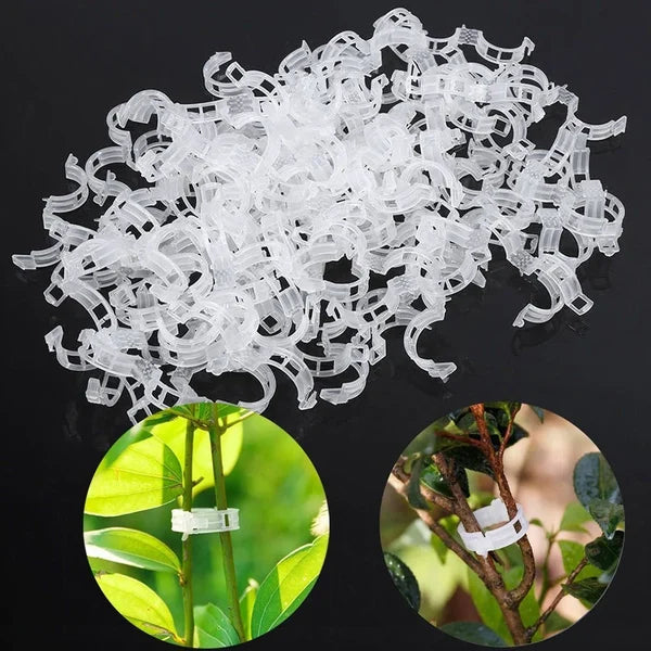 🌿 50% RABATT! 🍅 Pflanzenclips für Rankpflanzen – Tomatenhalter & Pflanzenbinder aus Kunststoff, Wiederverwendbar & Ideal Für Halt An Spalieren Oder Stäben 🌻