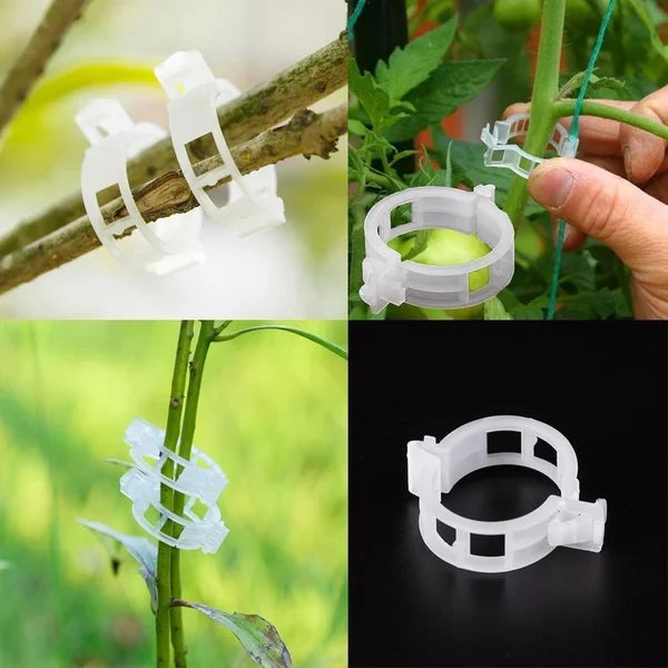 🌿 50% RABATT! 🍅 Pflanzenclips für Rankpflanzen – Tomatenhalter & Pflanzenbinder aus Kunststoff, Wiederverwendbar & Ideal Für Halt An Spalieren Oder Stäben 🌻