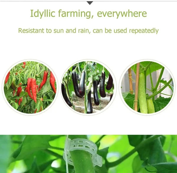 🌿 50% RABATT! 🍅 Pflanzenclips für Rankpflanzen – Tomatenhalter & Pflanzenbinder aus Kunststoff, Wiederverwendbar & Ideal Für Halt An Spalieren Oder Stäben 🌻