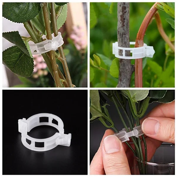 🌿 50% RABATT! 🍅 Pflanzenclips für Rankpflanzen – Tomatenhalter & Pflanzenbinder aus Kunststoff, Wiederverwendbar & Ideal Für Halt An Spalieren Oder Stäben 🌻