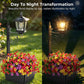 🌺 50% RABATT! ☀️ Solar-Blumentopfleuchte 2-in-1 – Warmweißes Vintage-Licht & Pflanzgefäß – IP65 wetterfest – Ideal für Garten & Terrasse 🌿