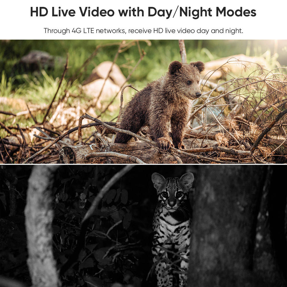 4G LTE kabellose solarbetriebene Überwachungskamera CB114S – 2K HD Live-Ansicht, 360°-Abdeckung, kein WLAN, ferngesteuert über App, wasserdicht, bewegungsaktiviert, Nachtsicht, für den Außenbereich