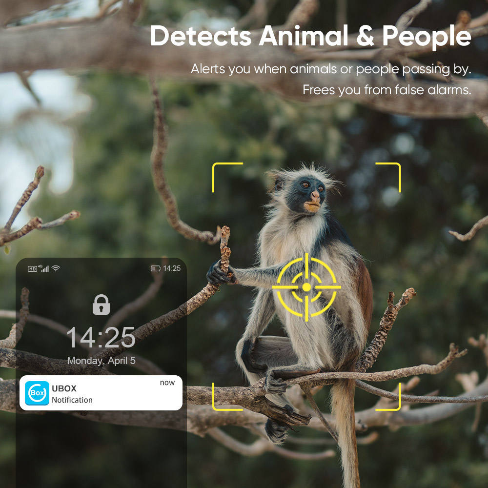4G LTE kabellose solarbetriebene Überwachungskamera CB114S – 2K HD Live-Ansicht, 360°-Abdeckung, kein WLAN, ferngesteuert über App, wasserdicht, bewegungsaktiviert, Nachtsicht, für den Außenbereich
