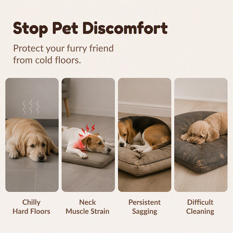 🐾 50% RABATT! 🛏️ Gepolsterte, waschbare Hundematte – Weich, warm & vielseitig – Ideal für Hunde & Katzen – für alle Jahreszeiten ✨