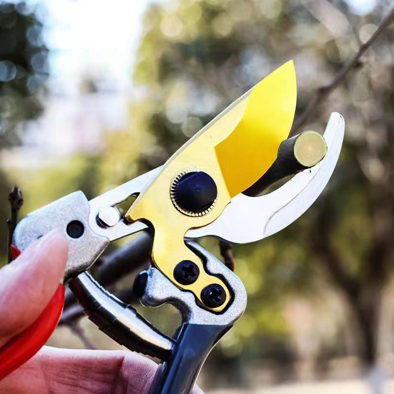 🌱  50 % Rabatt ! Robuste SK5-Gartenschere – Scharfer Schnitt, mühelose Gartenpflege! 🌿 Ultrascharfe Klinge, rutschfester Griff, stark für Äste & Sträucher ✂️
