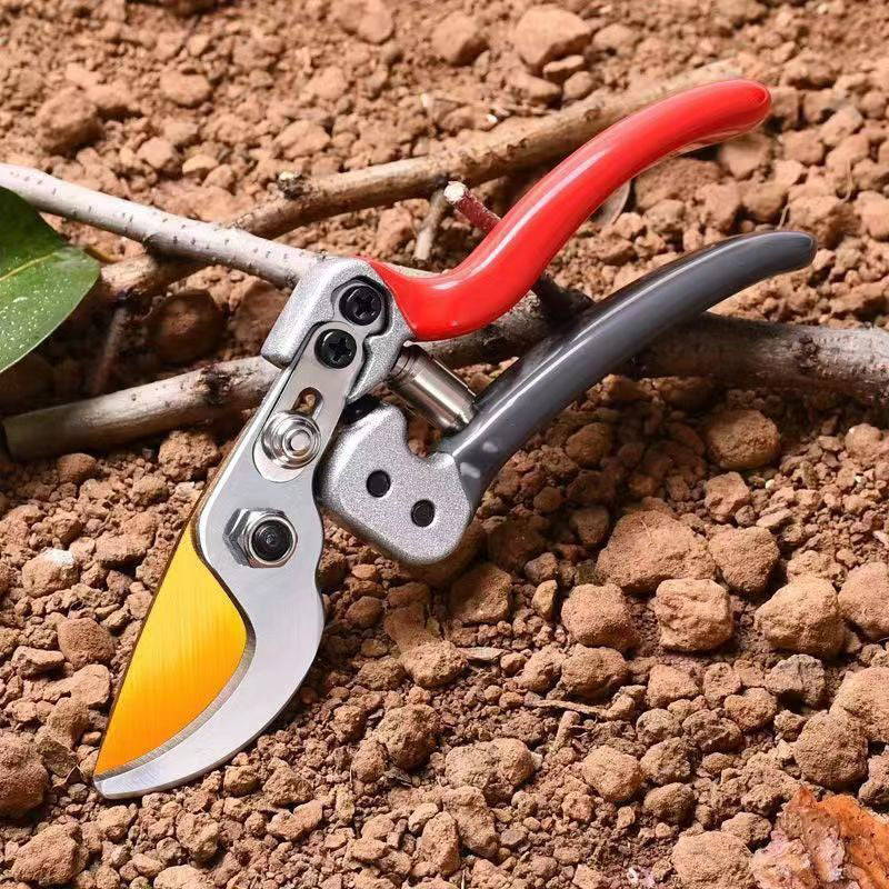🌱  50 % Rabatt ! Robuste SK5-Gartenschere – Scharfer Schnitt, mühelose Gartenpflege! 🌿 Ultrascharfe Klinge, rutschfester Griff, stark für Äste & Sträucher ✂️