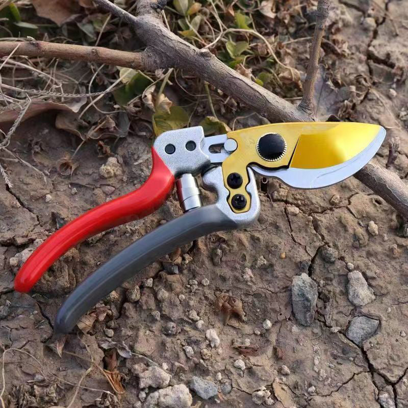 🌱  50 % Rabatt ! Robuste SK5-Gartenschere – Scharfer Schnitt, mühelose Gartenpflege! 🌿 Ultrascharfe Klinge, rutschfester Griff, stark für Äste & Sträucher ✂️