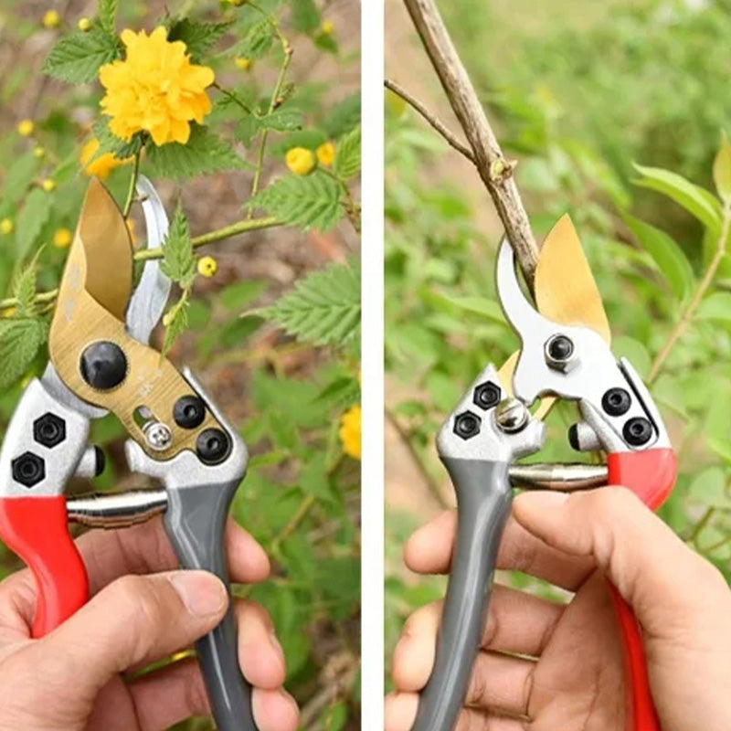 🌱  50 % Rabatt ! Robuste SK5-Gartenschere – Scharfer Schnitt, mühelose Gartenpflege! 🌿 Ultrascharfe Klinge, rutschfester Griff, stark für Äste & Sträucher ✂️