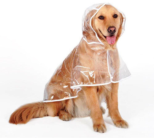 Transparenter Regenmantel für Hunde