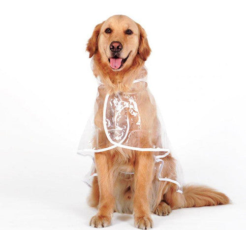 Transparenter Regenmantel für Hunde