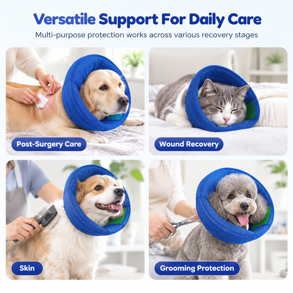 📢50% RABATT! 🐶🐱 Zweifarbige Halskrause für Hunde & Katzen – biss- & kratzfest, Blau/Grün